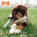 Gryzak dla psa Nylabone SENSORY TACTILE STICK Kolor Zielony Masło Orzechowe Bacon S