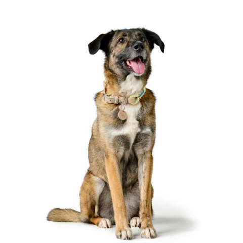 Obroża dla psa Hunter MALIA Kolor Zielony 12 40-49 cm