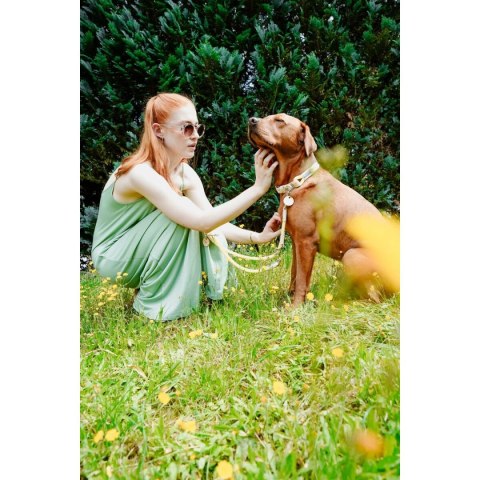 Obroża dla psa Hunter Malia Limonka S/M 35-44 cm