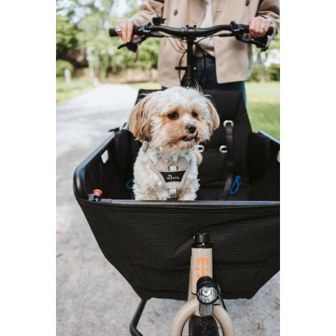 Szelki dla psa Hunter DIVO UP Beżowy L/XL