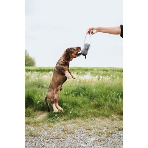 Zabawka dla psów Hunter NEBRASKA Niebieski Poliester Owca