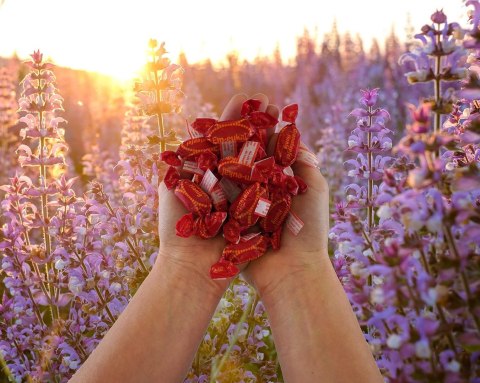 Em-eukal Granatapfel-Honig Cukierki Miód i Granat 75 g