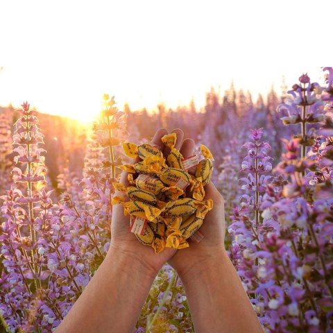 Em-eukal Salbei-Honig Cukierki Miód Szałwiowy 75 g