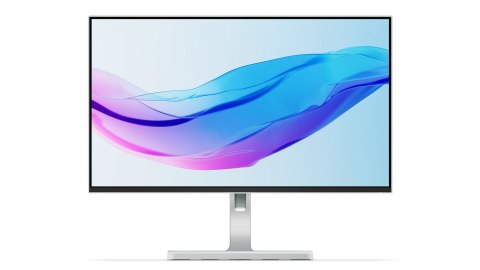 Lenovo L24m-4A 23.8"FHD IPS 100Hz 250nits AG HDMI DP USB Cloud Grey