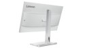 Lenovo L24m-4A 23.8"FHD IPS 100Hz 250nits AG HDMI DP USB Cloud Grey