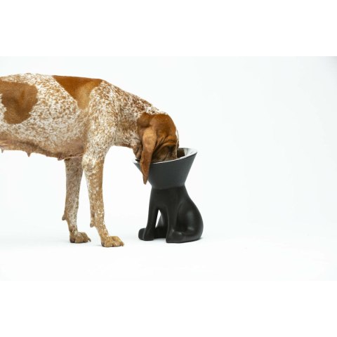 Karmnik dla psów United Pets Up Elisabeth Czarny Stal nierdzewna Polietylen 1 L