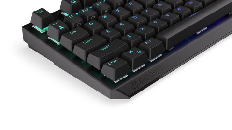 Klawiatura gamingowa ENDORFY Thock W. Kailh RD
