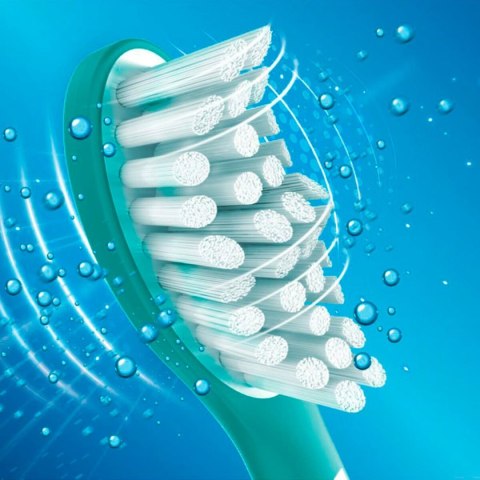 Główka do Szczoteczki do Zębów Philips Sonicare For Kids Niebieski 4 Sztuk