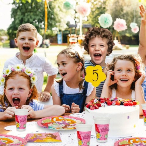 Zestaw do organizacji party Disney Princess 37 Części