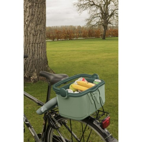 Przenośna Lodówka Curver 261196 Kolor Zielony 10 L Plastikowy (1 Części)