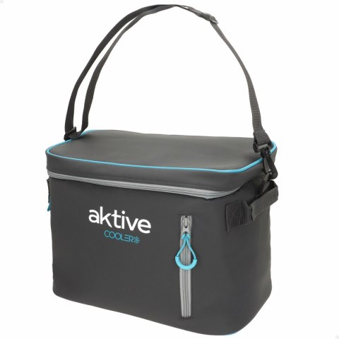 Przenośna Lodówka Aktive Czarny Poliester PEVA Foam 18 L 34 x 26 x 21 cm (6 Sztuk)