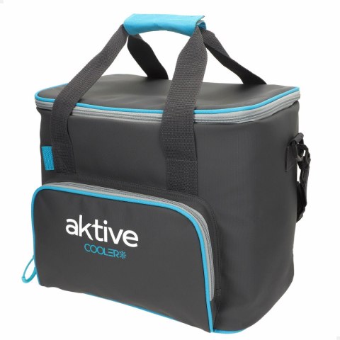 Przenośna Lodówka Aktive Czarny Poliester PEVA Foam 20 L 32 x 28 x 23 cm (4 Sztuk)