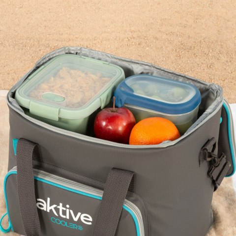 Przenośna Lodówka Aktive Czarny Poliester PEVA Foam 20 L 32 x 28 x 23 cm (4 Sztuk)