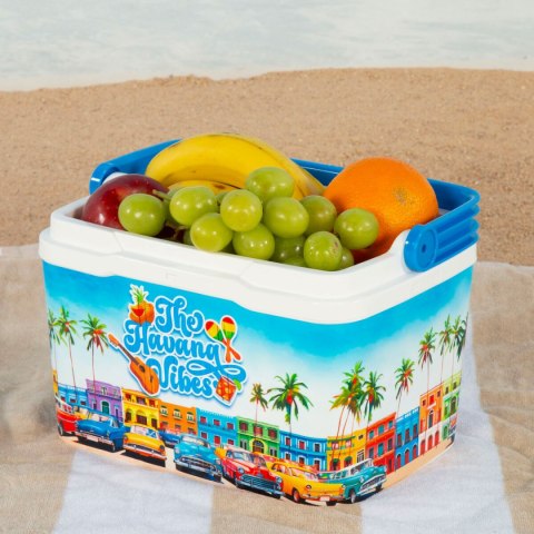Usztywniana lodówka turystyczna Aktive Niebieski Plastikowy 5 L 28 x 19 x 21 cm (6 Sztuk)
