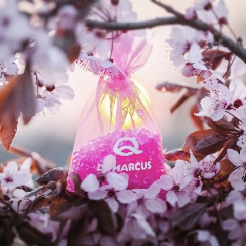 Odświeżacz powietrza do samochodu Dr Marcus Fresh Bag Guma do żucia Zapach Woreczek