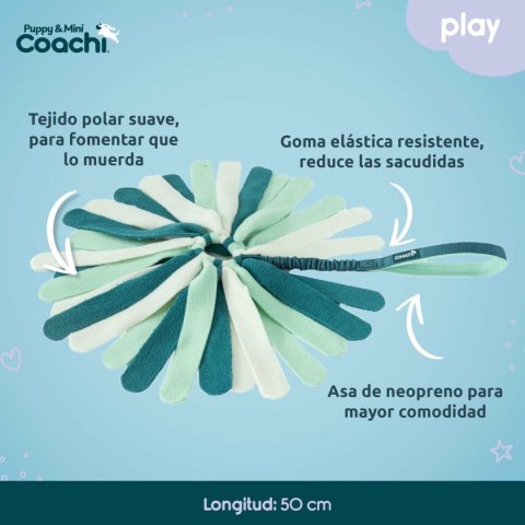 Szelki dla psa Coachi