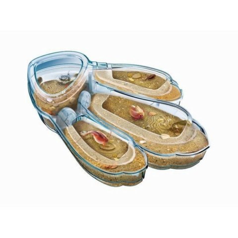 Gra naukowa Clementoni Triops Les animaux préhistoriques FR