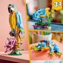 Zestaw do budowania Lego Creator 31136 Exotic parrot with frog and fish 3 w 1 253 Części