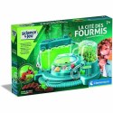 Gra naukowa Baby Born Science and Games The city of ants Ant observatory (FR)