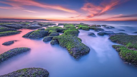 Smart TV 4K UHD LED Telewizor 50 Xiaomi TV A2 ELA4801EU