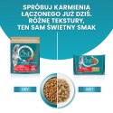 PURINA One Bifensis Sterilcat Wołowina - sucha karma dla kota - 800 g