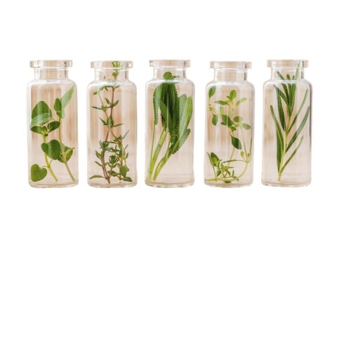 Krem leczący żylaki 500 Cosmetics Varesil 100 ml