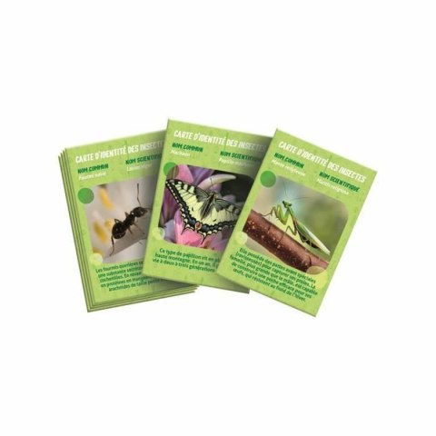 Drewniana Gra Clementoni