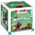 Zabawa Edukacyjna Asmodee BrainBox - Animales