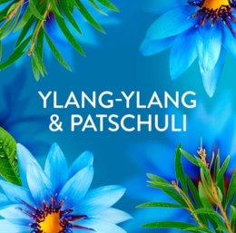 Lenor Meeresbrise Płyn do Płukania 36 prań