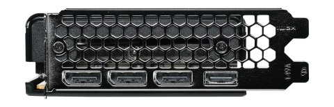 Karta graficzna VGA PCIE16 RTX5060 8GB GDDR7 PALIT