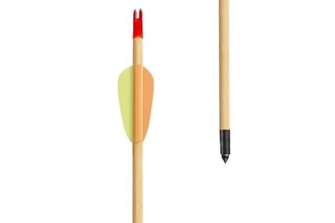 Strzały drewniane Target Wooden 30" Poe Lang - zestaw 5 sztuk