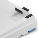 Sharkoon SKILLER SGK50 S3 PBT klawiatura Gaming USB QWERTZ Niemiecki Biały