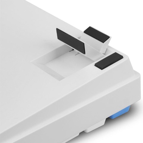 Sharkoon SKILLER SGK50 S3 PBT klawiatura Gaming USB QWERTZ Niemiecki Biały