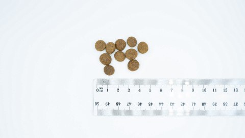 BULT Karma sucha z jagnię. dla psów małych ras 12kg