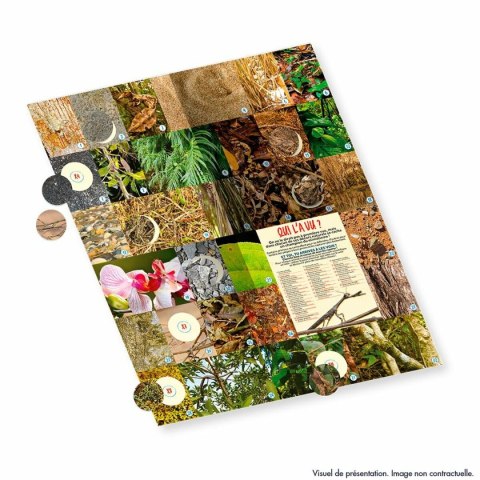 Album do kolekcjonowania kart Panini Animaux