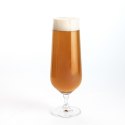 Kieliszek do wina Bohemia Crystal Premiere Universal Przezroczysty Szkło 380 ml Piwa (6 Sztuk)