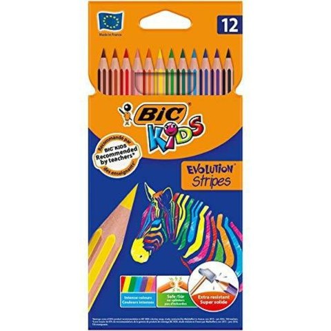 Kredki Bic KIDS EVOLUTION STRIPES Wielokolorowy 12 Części (12 Sztuk)
