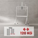 MACLEAN STAND / WÓZEK DO TV, PÓŁKA NA KAMERĘ, NA KÓŁKACH, 55-100", MAX. OBCIĄŻENIE 120KG/10KG PÓŁKA, MAX. VESA 900X600 MC-114