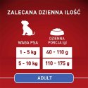PURINA One Mini Adult Wołowina, ryż - sucha karma dla psa - 800 g