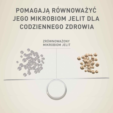 PURINA One Mini Adult Wołowina, ryż - sucha karma dla psa - 800 g