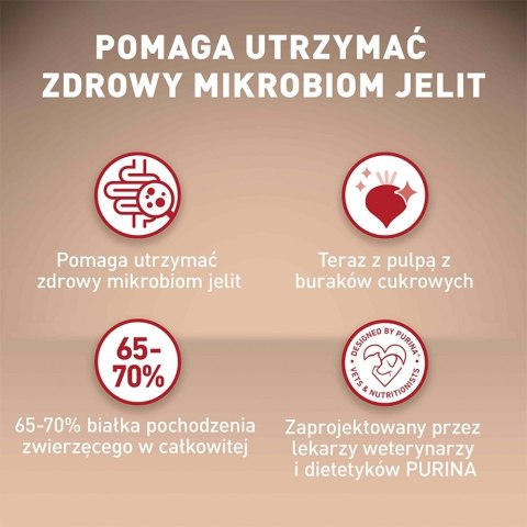 PURINA One Mini Adult Wołowina, ryż - sucha karma dla psa - 800 g