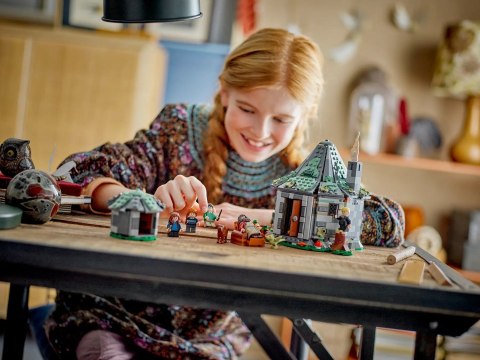 LEGO Harry Potter 76428 - Chatka Hagrida: Niespodziewana wizyta