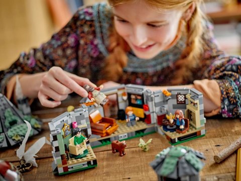 LEGO Harry Potter 76428 - Chatka Hagrida: Niespodziewana wizyta