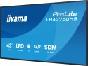 Monitor IIYAMA 108cm (42,5") LH4375UHS-B2AG 16:9 2xHDMI+3xDP+2xUSB