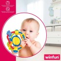Grzechotka Winfun Plastikowy 12 x 13,5 x 12 cm (12 Sztuk)