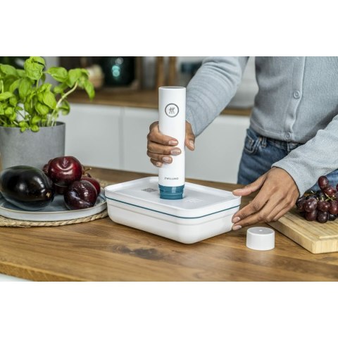 Pompa próżniowa Zwilling 36801-300-0 1 Części