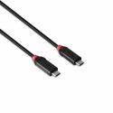 Kabel USB-C na USB-C LINDY 37002 Czarny 2 m