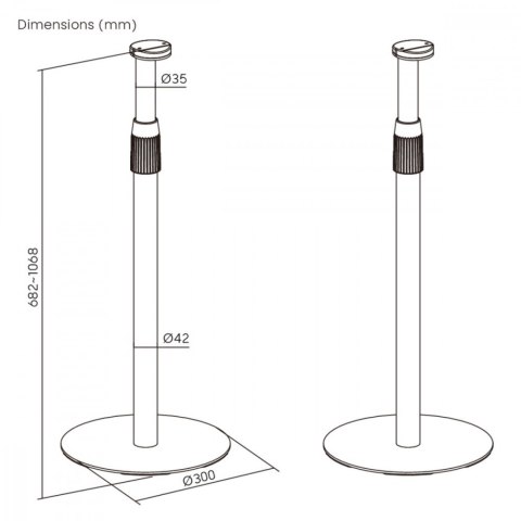 Uchwyt na Sonos ERA 100 X 300 MC-496