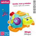 Zabawka do ciągnięcia Winfun 23 x 12 x 23 cm Żółw Wielokolorowy (2 Sztuk)