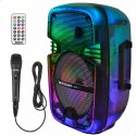 Głośnik z Mikrofonem Karaoke Bontempi Plastikowy 25 x 39 x 21 cm (2 Sztuk)